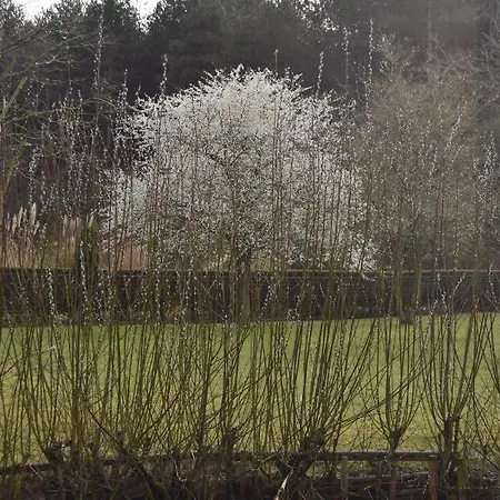 Les D Hotes De L Entre Deux Baies A Entre Berck Et Le Touquet 3* Merlimont