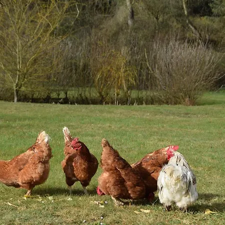 Panzió Les D Hotes De L Entre Deux Baies A Entre Berck Et Le Touquet Merlimont